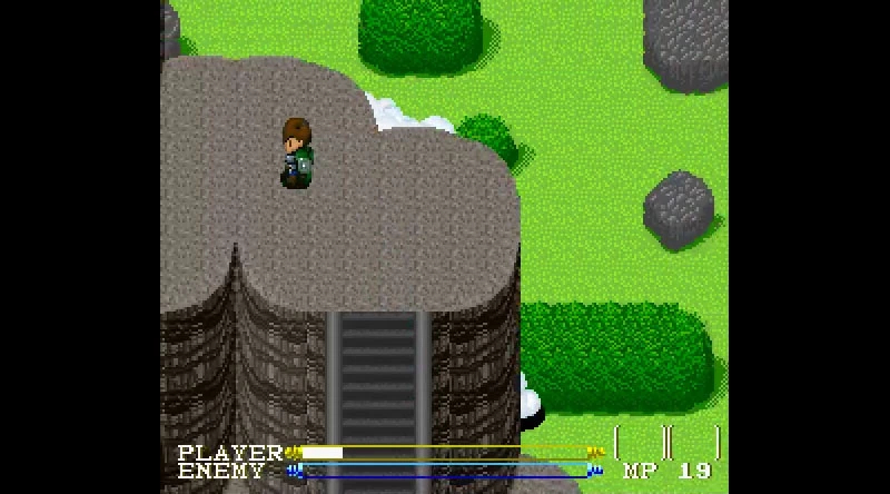 Those are some neatly-trimmed bushes